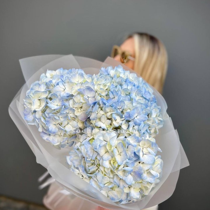 Букет из 3 голубых гортензий  в Вологде