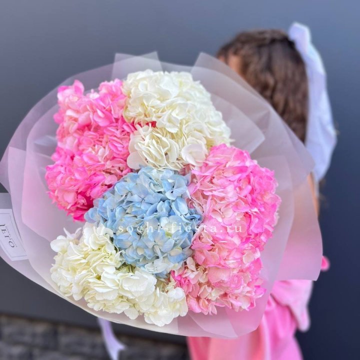 7 гортензий микс в Вологде