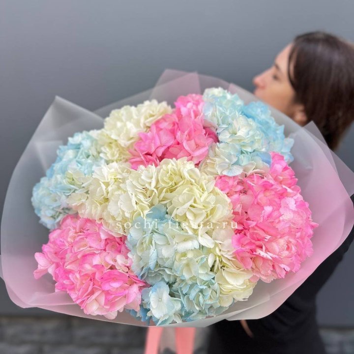 9 гортензий микс в Вологде