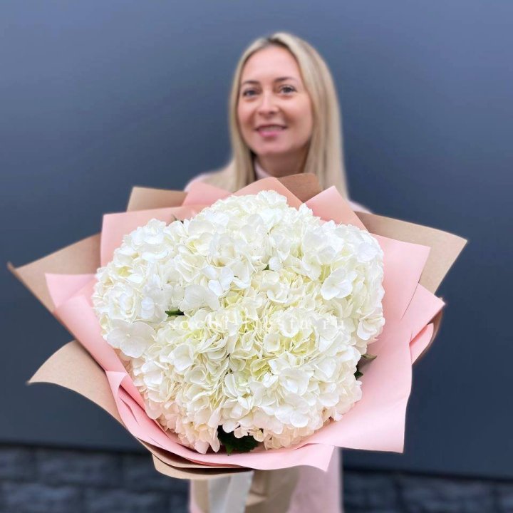 Гортензия белая в Вологде