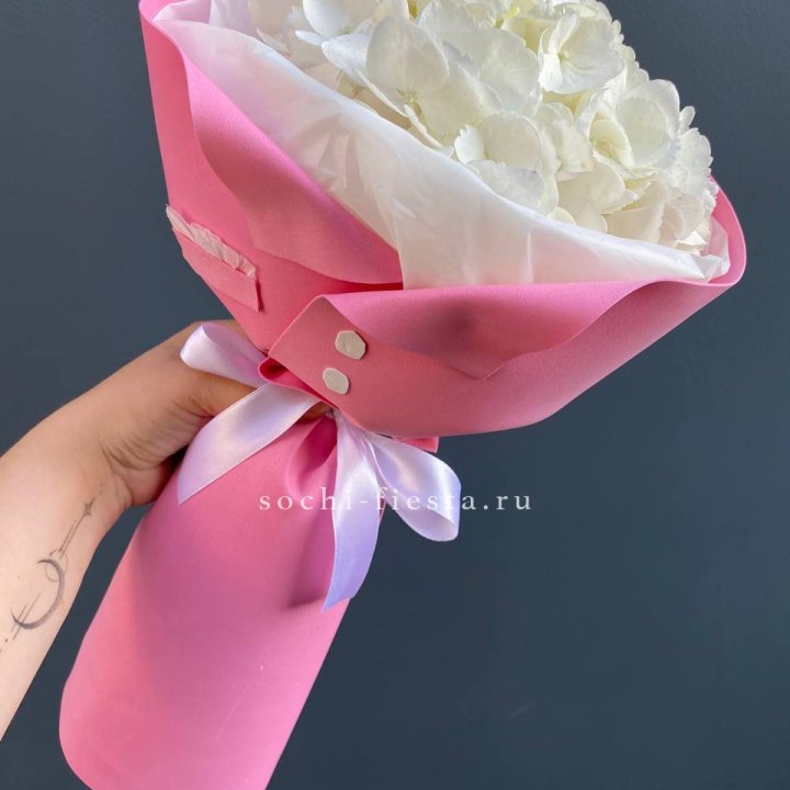 Гортензия в розовом пиджаке в Вологде