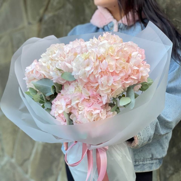 5 розовых гортензий в Вологде