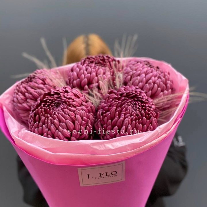 Хризантемы  Бигуди с стифой в Вологде