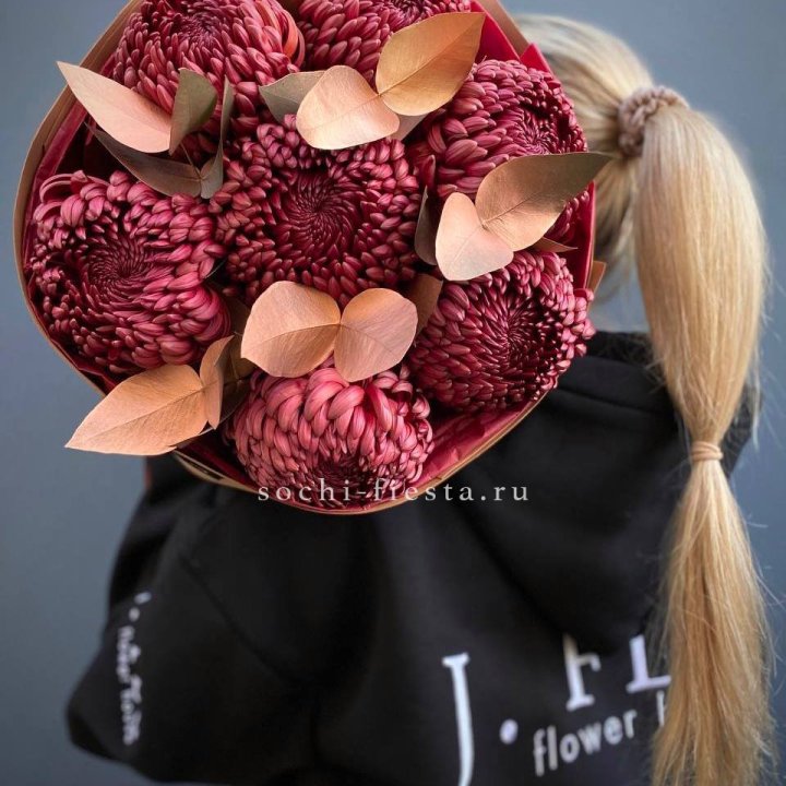 Хризантемы "Голд шоколад" в Вологде