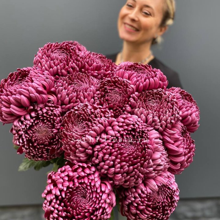 Охапка хризантем Бигуди в Вологде