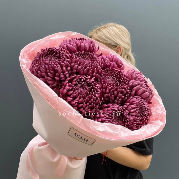 9 хризантем бигуди в Вологде