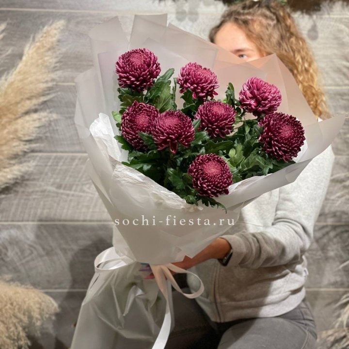 Хризантемы Бигуди в Вологде