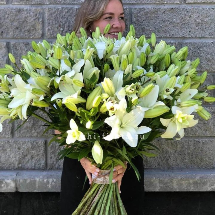 51 лилия в Вологде