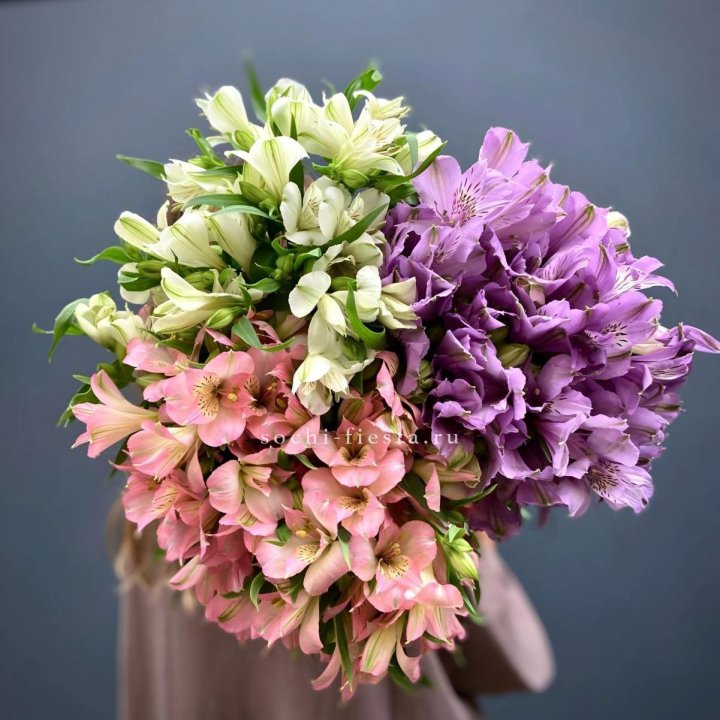 Охапка Альстромерии в Вологде