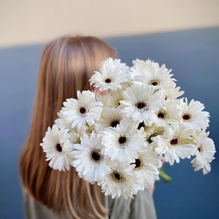 Охапка гербер в Вологде