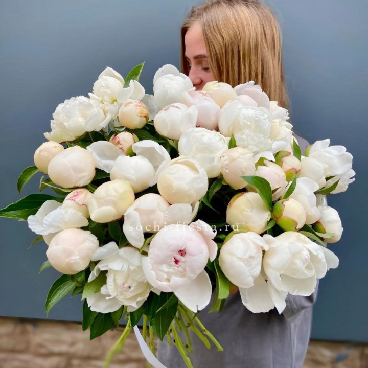 Охапка пионов в Вологде