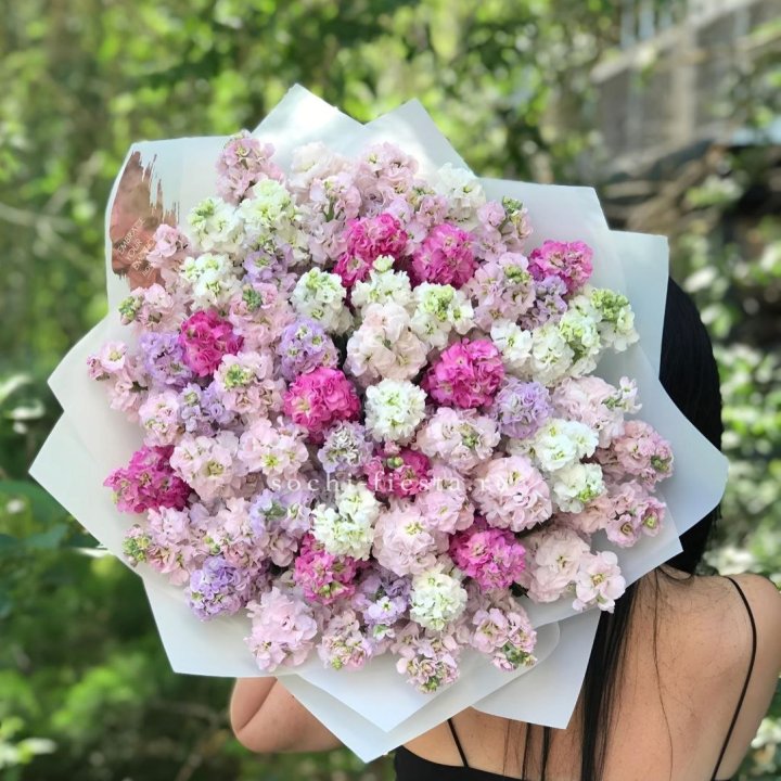 Букет ароматной маттиоллы №3 в Вологде