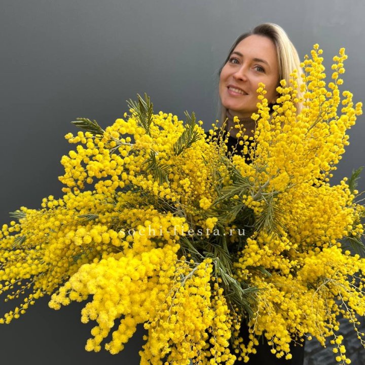 Охапка мимозы №2 в Вологде