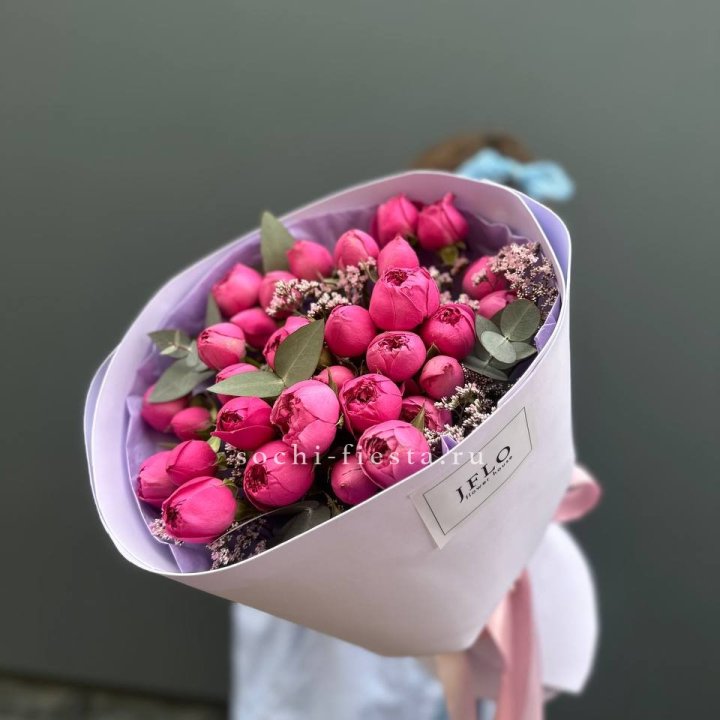 Мисти Баблс  "Кремиси" в Вологде