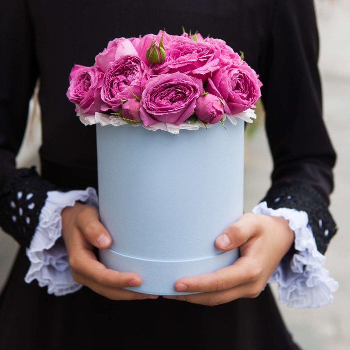 Бокс мини мисти в Вологде