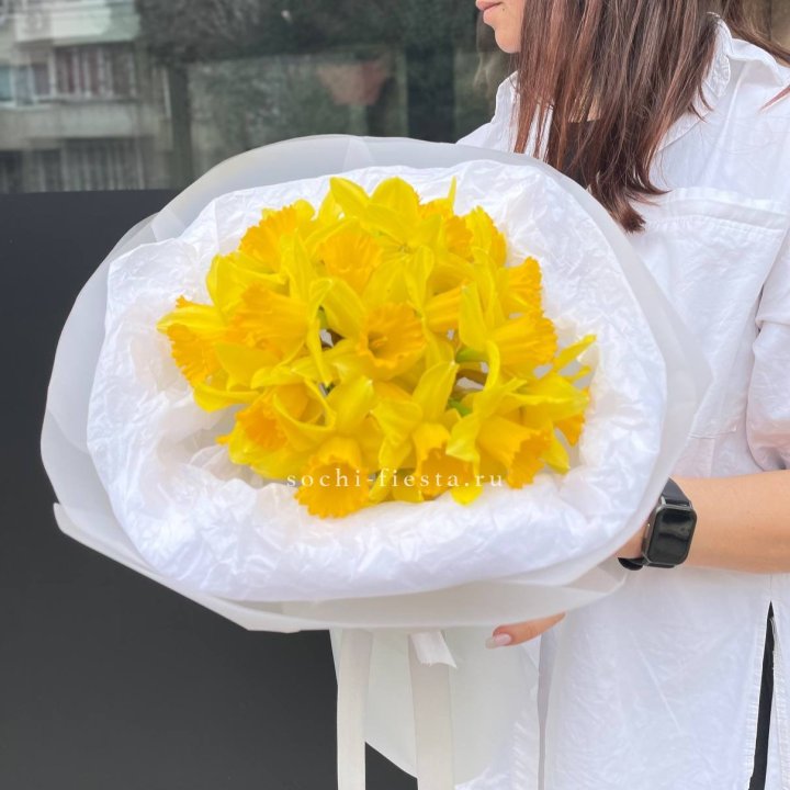 Нарциссы 25 шт в Вологде