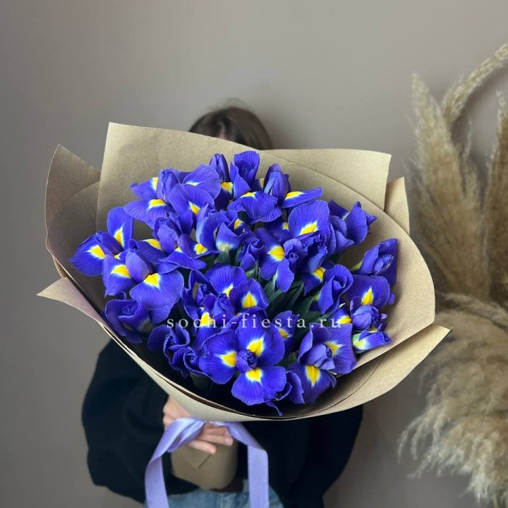 Ирисы в Вологде