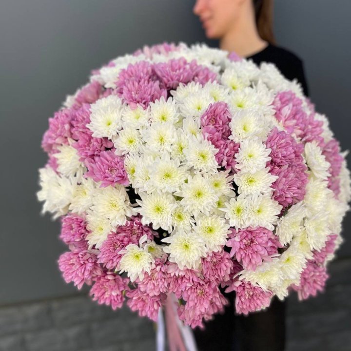  Букет 25 хризантем микс в Вологде