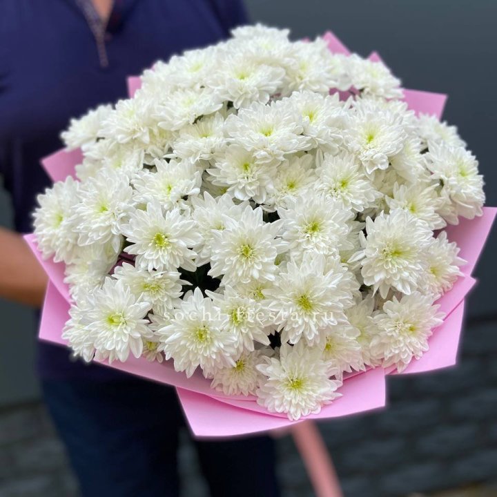  Букет 15 хризантем  в Вологде