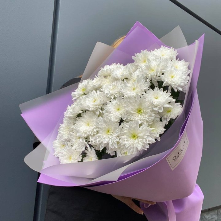  7 хризантем  в Вологде