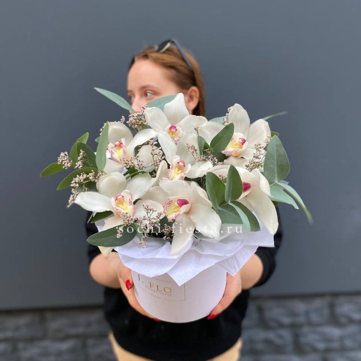 7 орхидей в боксе в Вологде