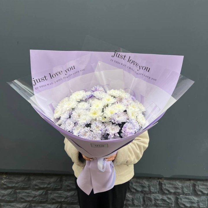 9 воздушных хризантем в Вологде