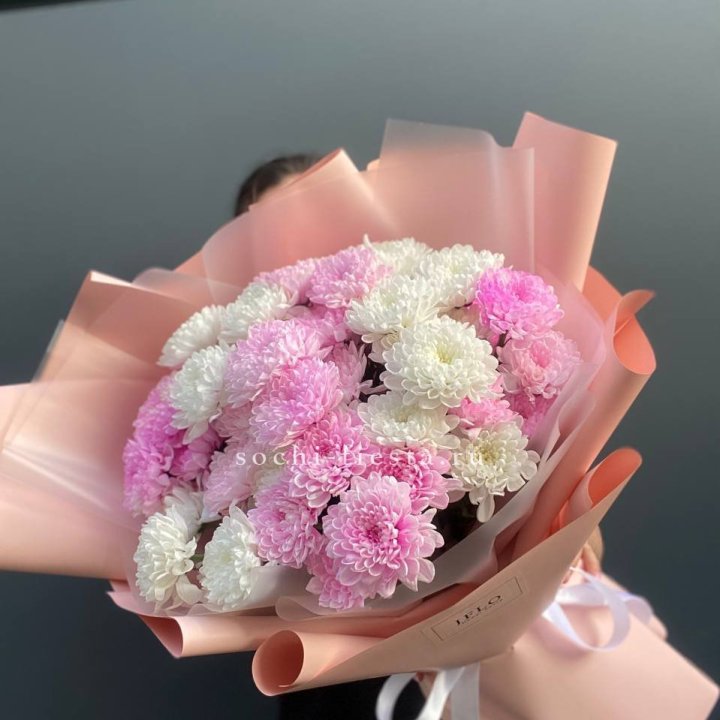  Букет бело-розовых хризантем  в Вологде