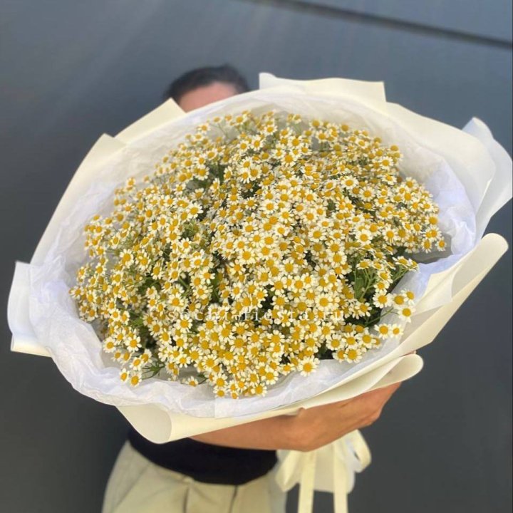Букет ромашек №2 в Вологде