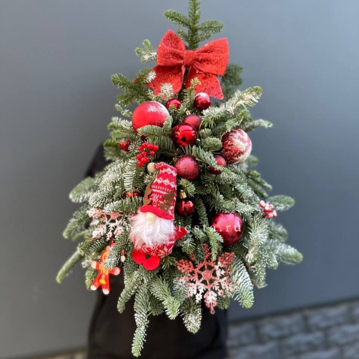 Новогодняя елочка "Ред" в Вологде