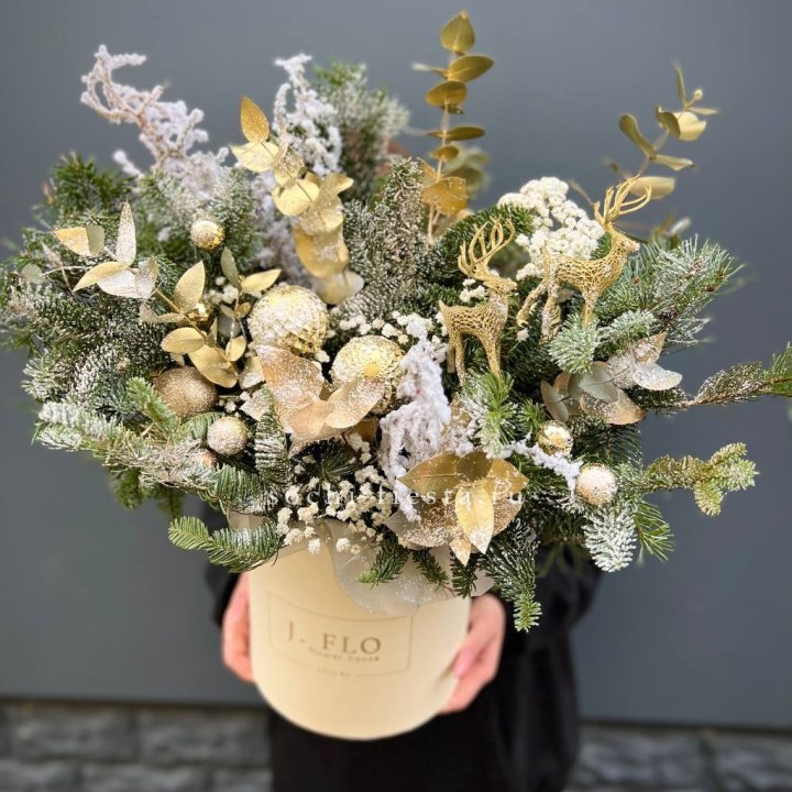 Золотой бокс с нобилисом в Вологде