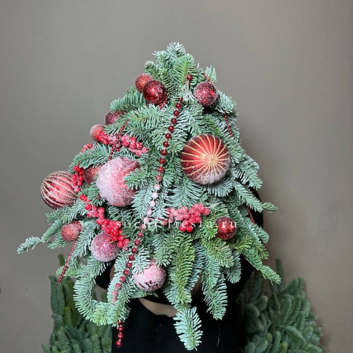 Ёлка красная в Вологде