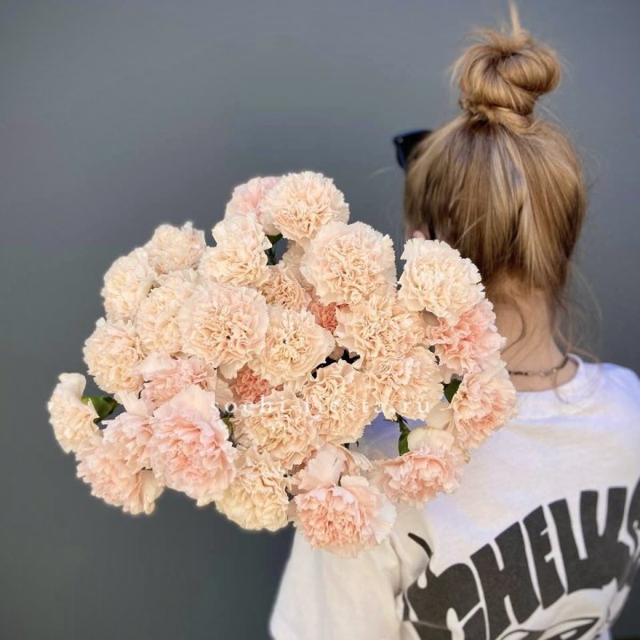 Охапка диантусов  в Вологде