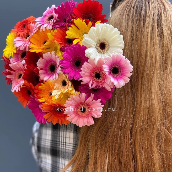 Охапка гербер  в Вологде