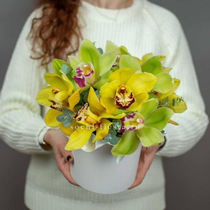 Бокс с орхидей №1 в Вологде