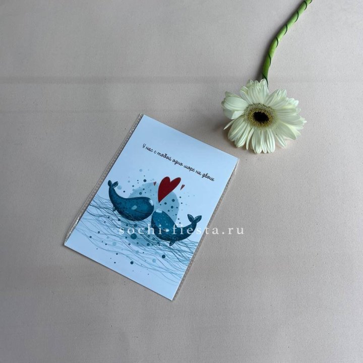 Открытка к букету "У нас с тобой одно море на двоих" в Вологде
