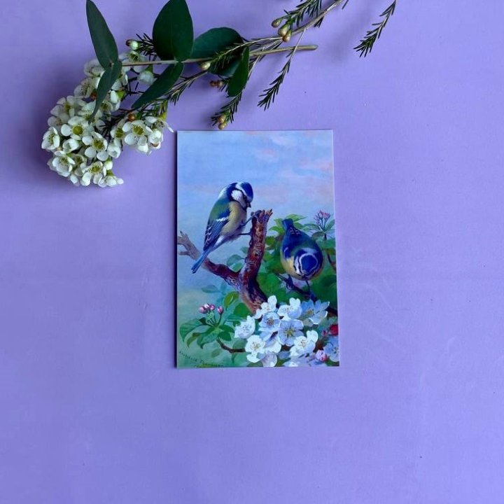 Открытка к букету "Птицы" в Вологде