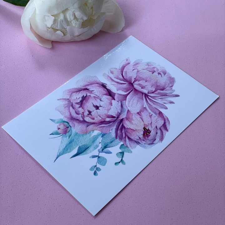 Открытка к букету "Пионы" в Вологде