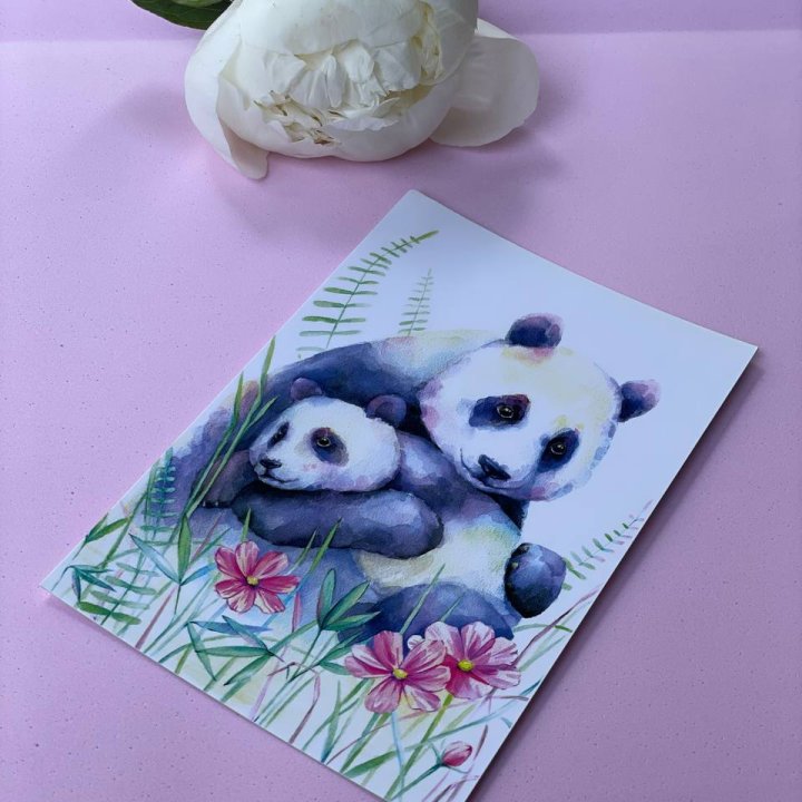 Открытка к букету "Объятие Панды" в Вологде