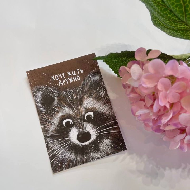 Открытка к букету "Енотик" в Вологде