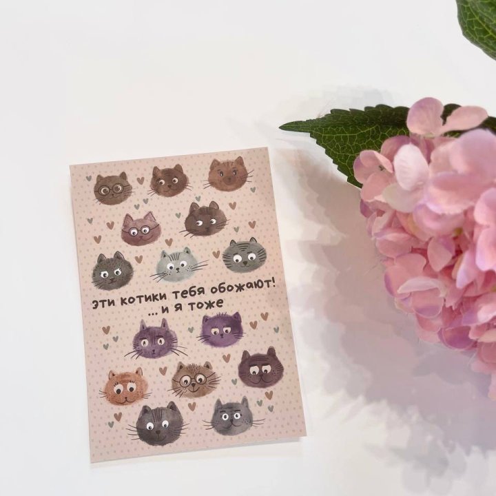 Открытка к букету "Котики" в Вологде