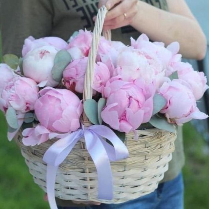 15 пионов в корзине в Вологде