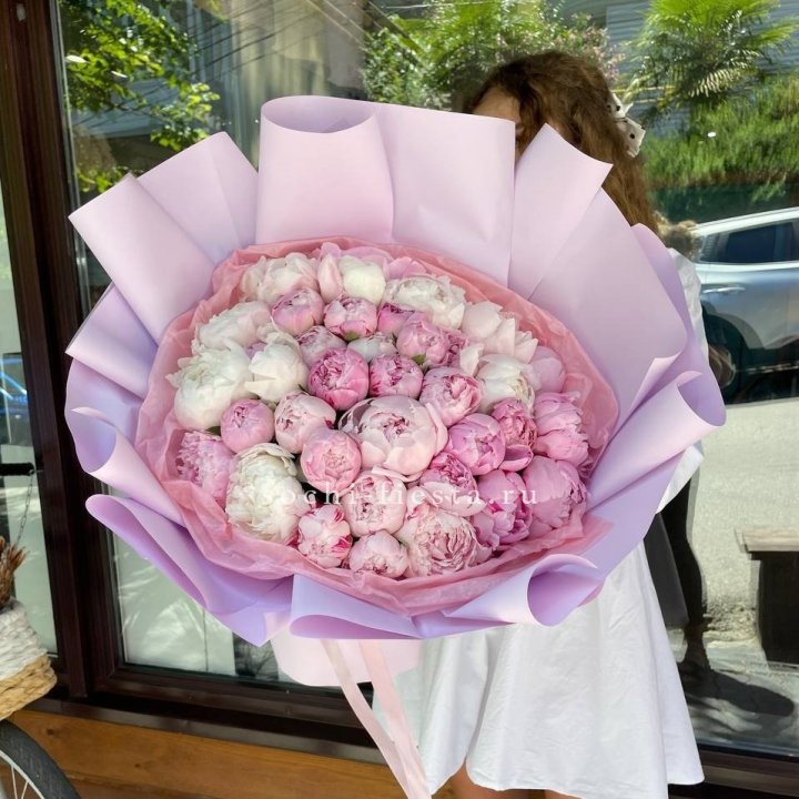 51 розовый пион в Вологде