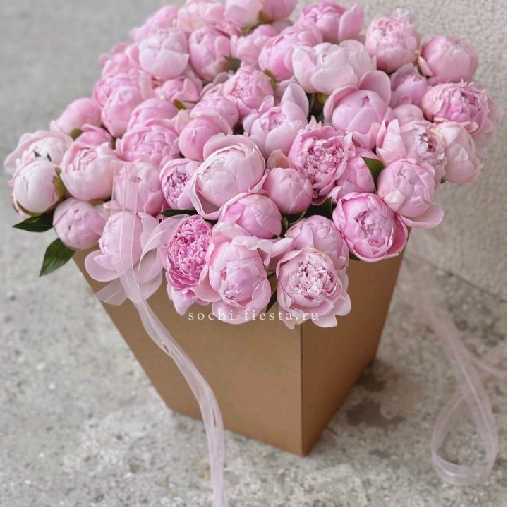 49 пионов в крафт коробке в Вологде