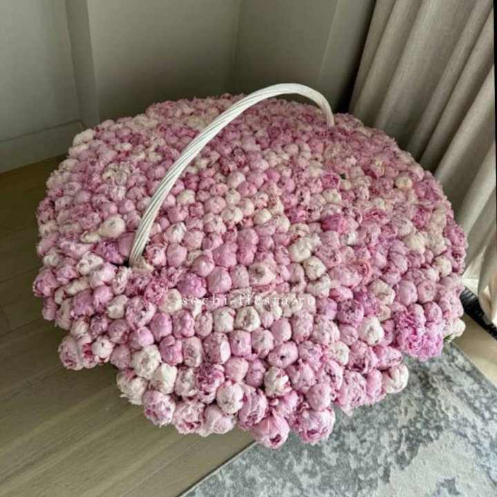 Корзина 555 пионов в Вологде