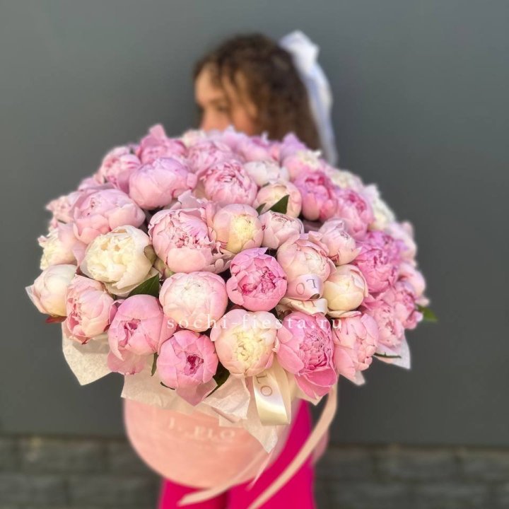 51 нежных пионов  в цилиндре в Вологде