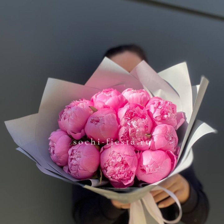 Пионы Алекс флеминг в Вологде