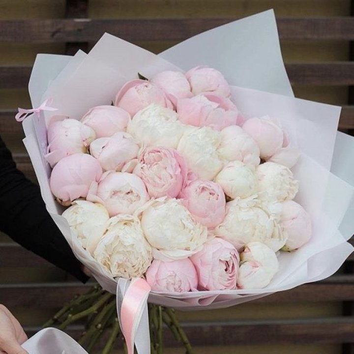 29 пионов в Вологде