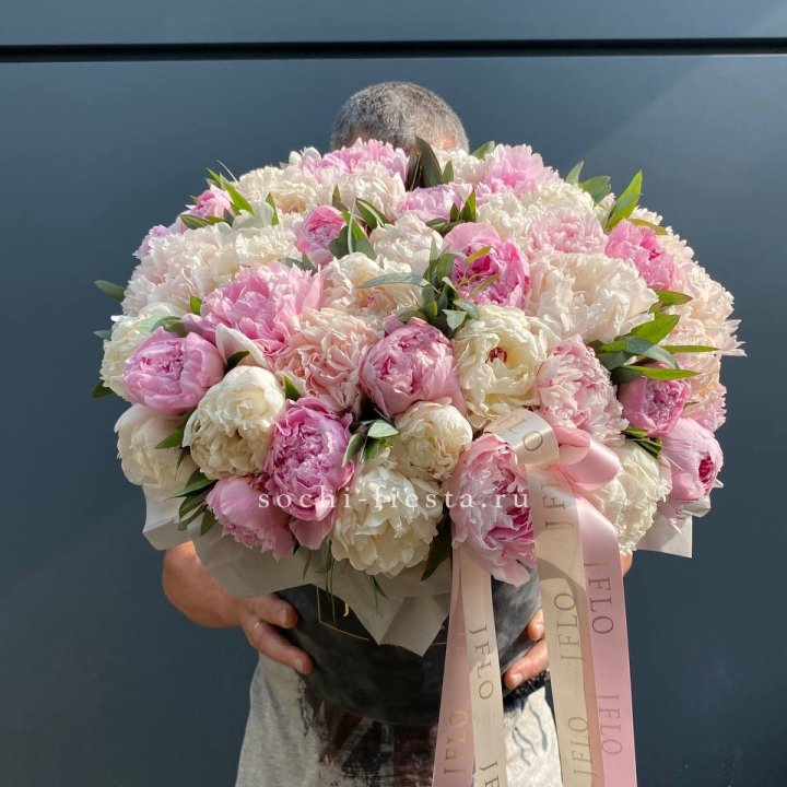 51 пионов в боксе в Вологде