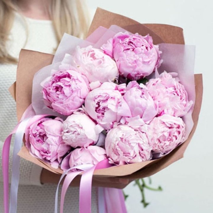 11 нежных пионов в Вологде