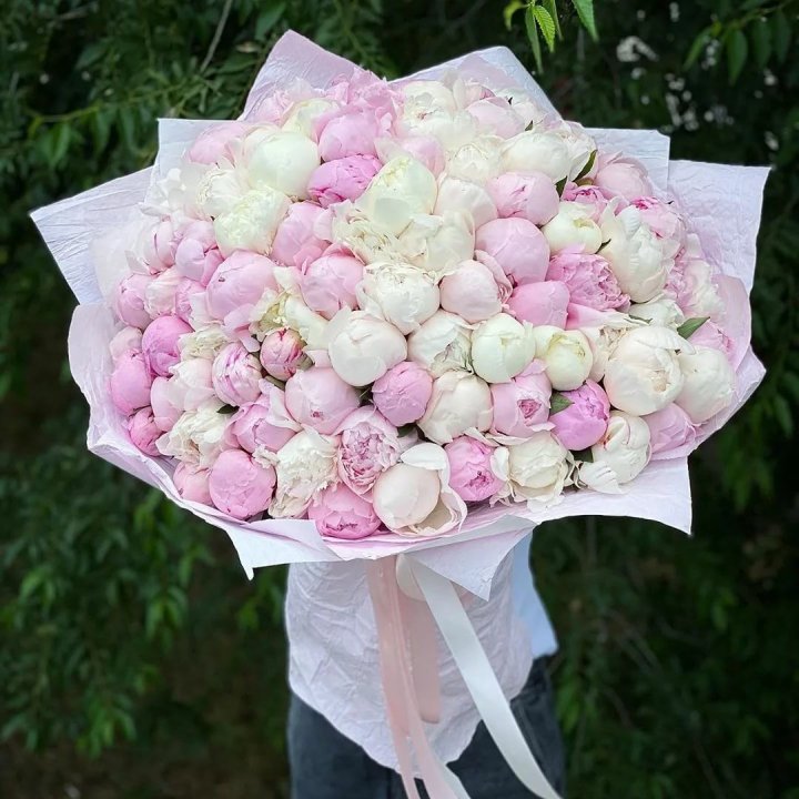 101 пион в Вологде